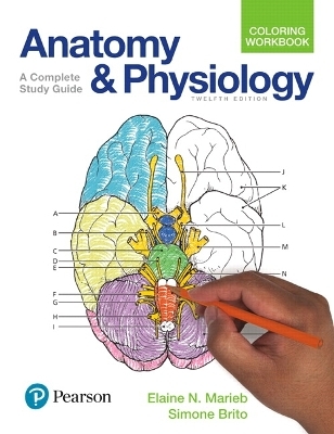 Anatomy and Physiology Coloring Workbook