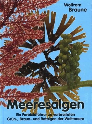 Meeresalgen