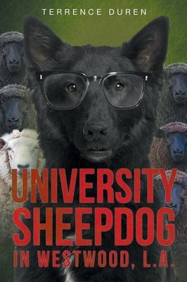 University Sheepdog in Westwood, L.A. - Terrence Duren