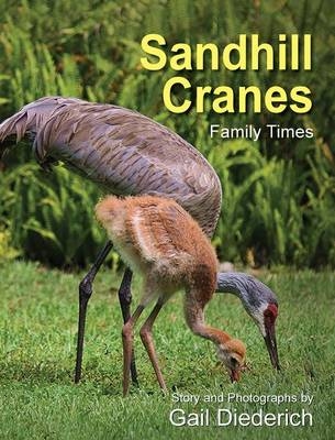 Sandhill Cranes, Family Times - Gail Diederich