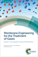 Membrane Engineering for the Treatment of Gases - 