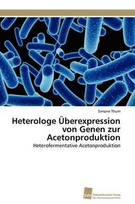 Heterologe Überexpression von Genen zur Acetonproduktion