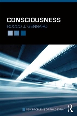 Consciousness - Rocco Gennaro