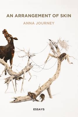 An Arrangement of Skin - Anna Journey