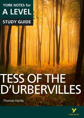Tess of the D'Urbervilles: York Notes A-level English Literature Study Guide - for 2026, 2027 exams - Karen Sayer, Beth Palmer