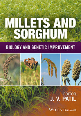 Millets and Sorghum - 