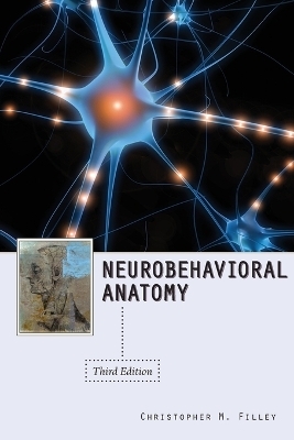 Neurobehavioral Anatomy
