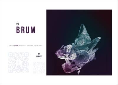 Brum: The Live Envism Guide to Life - Locations, Culture and Art