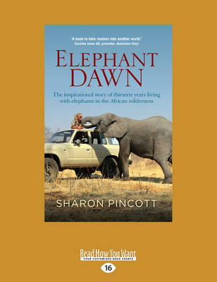 Elephant Dawn
