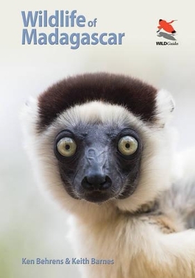Wildlife of Madagascar - Ken Behrens, Keith Barnes