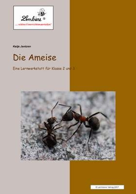 Die Ameise - Katja Jantzen