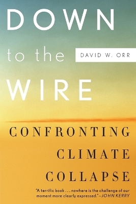 Down to the Wire - David W. Orr