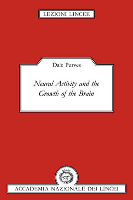 Neural Activity and the Growth of the Brain