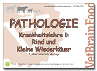 Pathologie Krankheitslehre I: Rind und kleine Wiederkäuer - Gabriele Glück