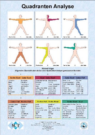 Die Quadrantenanalyse in der Elektroakupunktur- und Resonanztherapie  (Info-Blatt, Papier, DIN A4)