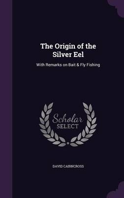 The Origin of the Silver Eel