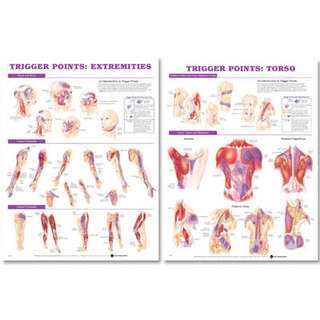 Trigger Point Chart Set