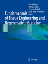 Fundamentals of Tissue Engineering and Regenerative Medicine - 