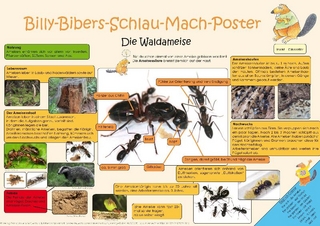 Billy-Bibers-Schlau-Mach-Poster - Die Ameise