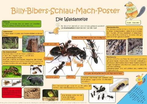 Billy-Bibers-Schlau-Mach-Poster - Die Ameise - Katrin von Brühl, Skadi Schulze