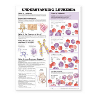 Understanding Leukemia Anatomical Chart