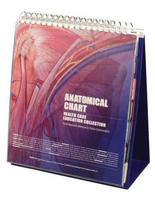 Anatomical Chart Healthcare Education Collection