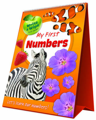 Mini Flip Chart My 1st Numbers