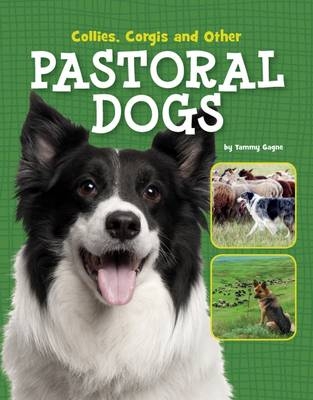 Collies, Corgis and Other Pastoral Dogs - Tammy Gagne