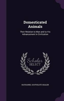 Domesticated Animals