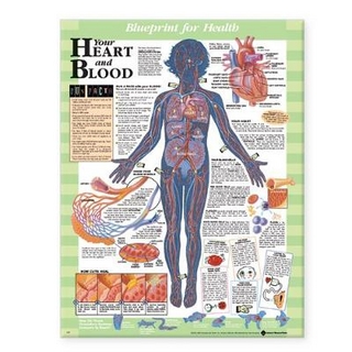 Blueprint for Health Your Heart and Blood Chart