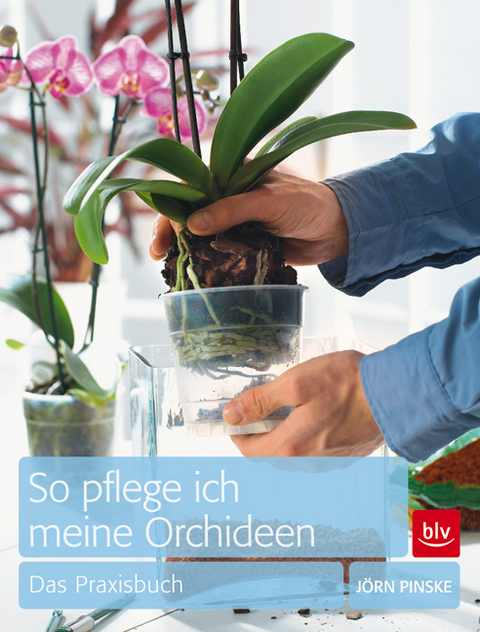 So pflege ich meine Orchideen - J&ouml;rn Pinske