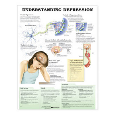 Understanding Depression Anatomical Chart -  Anatomical Chart Company