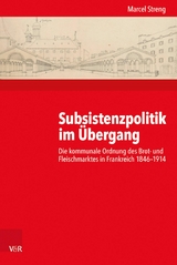 Subsistenzpolitik im &Uuml;bergang -  Marcel Streng