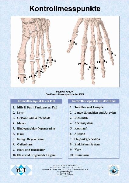 Die Kontrollmesspunkte der Elektroakupunktur  (Info-Blatt, Papier, DIN A4) - Michael Kr&uuml;ger