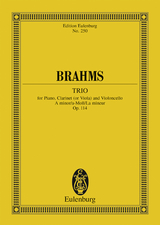 Trio A minor - Johannes Brahms