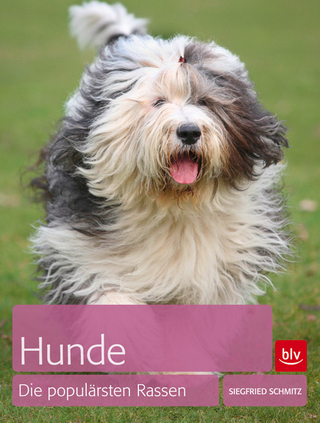 Hunde - die populärsten Rassen