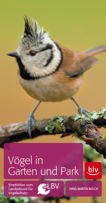 V&ouml;gel in Garten und Park - Hans-Martin Busch