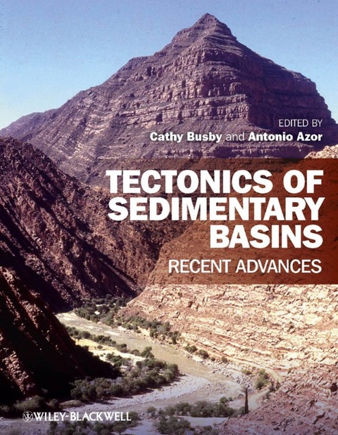 Tectonics of Sedimentary Basins - 