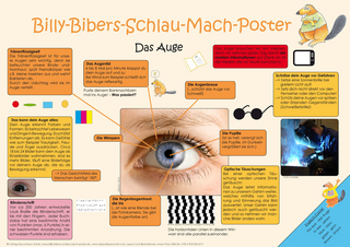 Billy-Bibers-Schlau-Mach-Poster - Das Auge