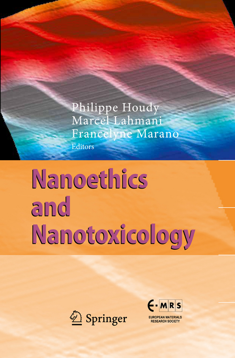 Nanoethics and Nanotoxicology - 