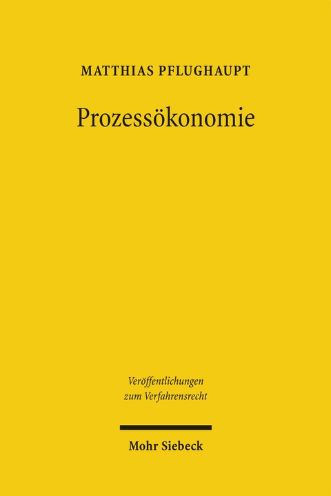 Prozess&ouml;konomie - Matthias Pflughaupt