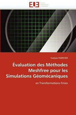 �valuation Des M�thodes Meshfree Pour Les Simulations G�om�caniques -  Foerster-E