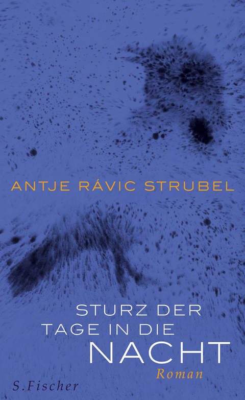 Sturz der Tage in die Nacht - Antje R&aacute;vic Strubel