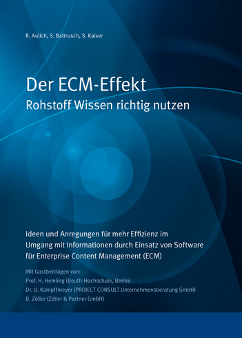 Der ECM-Effekt - R. Aulich, S. Baltrusch, S. Kaiser