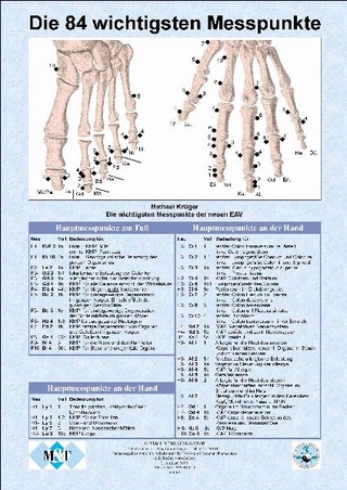 Die 84 wichtigsten Messpunkte der modernen Elektroakupunktur (Info-Blatt, Papier, DIN A4)