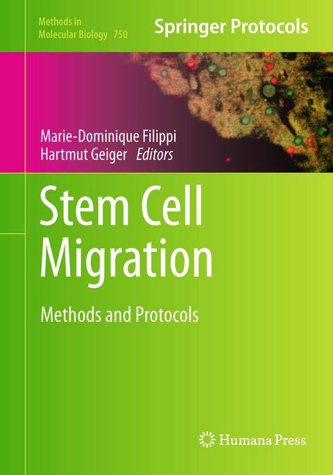 Stem Cell Migration - 