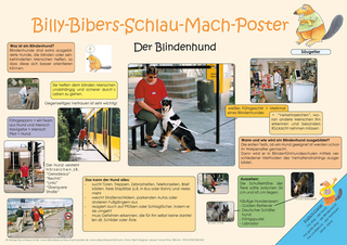 Billy-Bibers-Schlau-Mach-Poster - Der Blindenhund