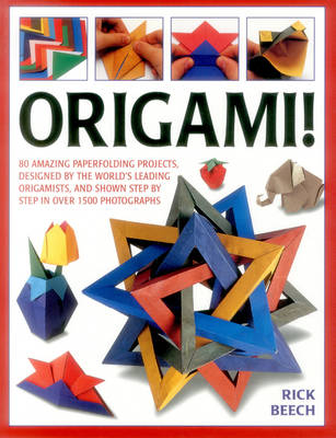 Origami! -  Beech Rick