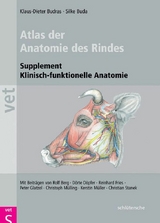 Atlas der Anatomie des Rindes - Klaus-Dieter Budras, Dr. Silke Buda