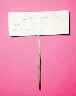 Still Missing - Giordano Castranova